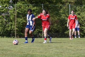 Bild 371 - wBJ Hamburger SV - Hertha BSC : Ergebnis: 5:2